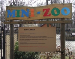 Mini-zoo