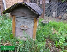 Poziom pszczelarstwa w Polsce