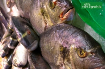 Ile wiemy o rybach, które kupujemy? 