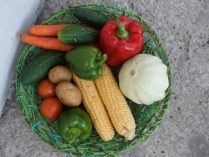 Zestaw domowych warzyw