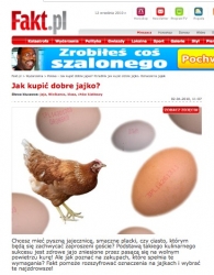 Printscreen z artykułu o jajkach