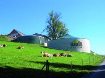 Biogazownia nastraja optymizmem energetykę